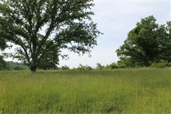 property photo for Cedar Ridge Ranch Tract 2, 5.18 acres for sale in Phelps County, Missouri