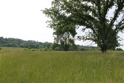 property photo for Cedar Ridge Ranch Tract 2, 5.18 acres for sale in Phelps County, Missouri