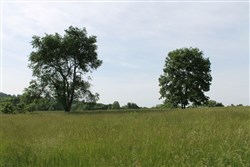 property photo for Cedar Ridge Ranch Tract 2, 5.18 acres for sale in Phelps County, Missouri