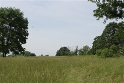 property photo for Cedar Ridge Ranch Tract 2, 5.18 acres for sale in Phelps County, Missouri