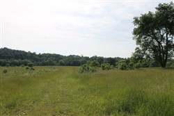 property photo for Cedar Ridge Ranch Tract 2, 5.18 acres for sale in Phelps County, Missouri