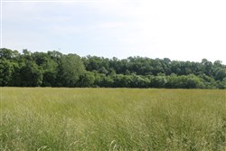 property photo for Cedar Ridge Ranch Tract 2, 5.18 acres for sale in Phelps County, Missouri