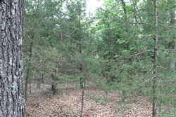 Cedar Ridge Ranch Tract 34