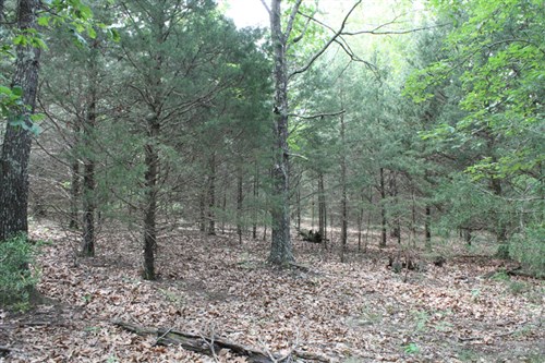 Cedar Ridge Ranch Tract 34