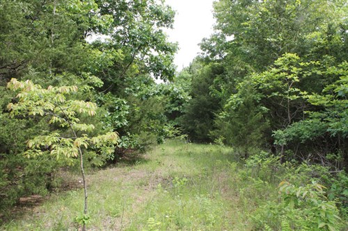 Cedar Ridge Ranch Tract 34