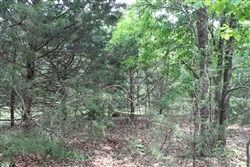 Cedar Ridge Ranch Tract 34