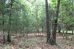 Cedar Ridge Ranch Tract 34