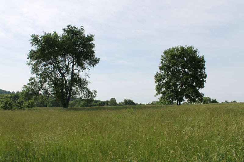 Tract 5 at Cedar Ridge Ranch in Phelps County, Missouri