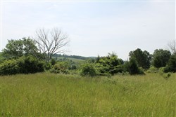 property photo for Cedar Ridge Ranch Tract 8, 5.1 acres for sale in Phelps County, Missouri