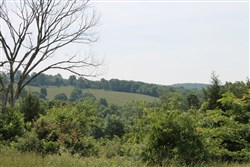 property photo for Cedar Ridge Ranch Tract 8, 5.1 acres for sale in Phelps County, Missouri