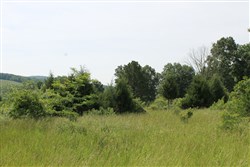 property photo for Cedar Ridge Ranch Tract 8, 5.1 acres for sale in Phelps County, Missouri