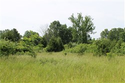 property photo for Cedar Ridge Ranch Tract 8, 5.1 acres for sale in Phelps County, Missouri