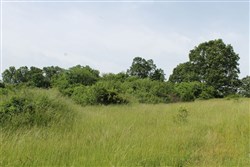 property photo for Cedar Ridge Ranch Tract 8, 5.1 acres for sale in Phelps County, Missouri