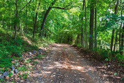 Cypress Ridge Tract 1
