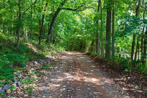 Cypress Ridge Tract 1