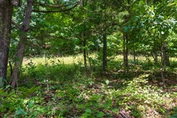 Cypress Ridge Tract 1