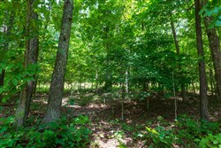 Cypress Ridge Tract 1