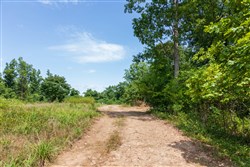 Cypress Ridge Tract 11