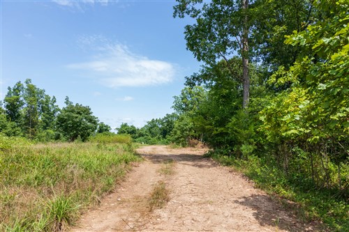 Cypress Ridge Tract 11