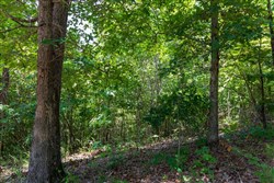 Cypress Ridge Tract 11