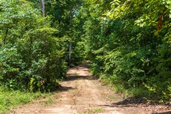 Cypress Ridge Tract 11