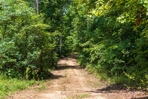 Cypress Ridge Tract 11