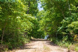 Cypress Ridge Tract 11