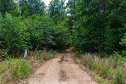 Cypress Ridge Tract 14