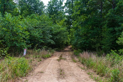 Cypress Ridge Tract 14