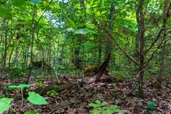 Cypress Ridge Tract 14