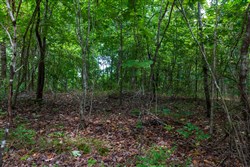 Cypress Ridge Tract 14