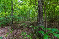 Cypress Ridge Tract 14