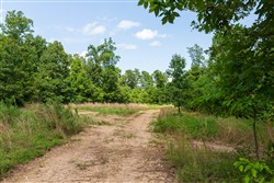 Cypress Ridge Tract 14