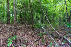 Cypress Ridge Tract 14