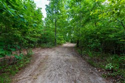 Cypress Ridge Tract 19