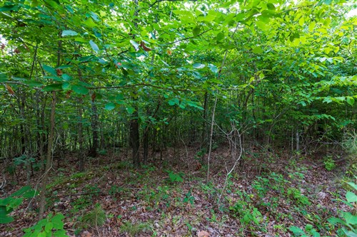 Cypress Ridge Tract 19