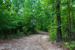 Cypress Ridge Tract 19