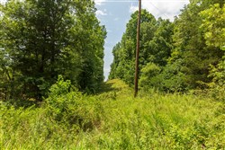 Cypress Ridge Tract 2