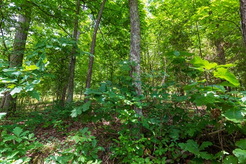 Cypress Ridge Tract 2