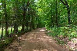 Cypress Ridge Tract 2