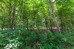 Cypress Ridge Tract 2