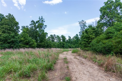 Cypress Ridge Tract 20