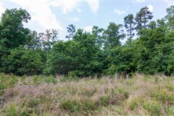 Cypress Ridge Tract 20