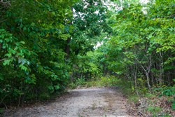 Cypress Ridge Tract 20