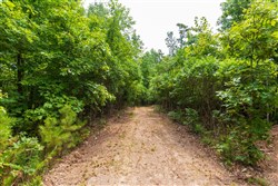 Cypress Ridge Tract 21