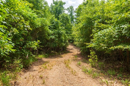 Cypress Ridge Tract 22