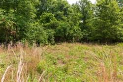 Cypress Ridge Tract 22