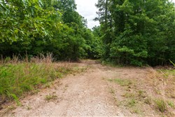 Cypress Ridge Tract 22