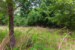 Cypress Ridge Tract 22