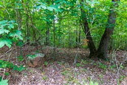 Cypress Ridge Tract 22